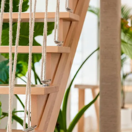 Ixchel House By Sunkeyrents * 엘메다노